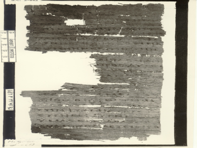 Папирус 19 (P19)